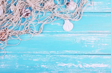 Deniz kabuklarını yakın çekim dekor