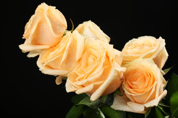 Bouquet of beautiful roses on black background — Stock Photo, Image