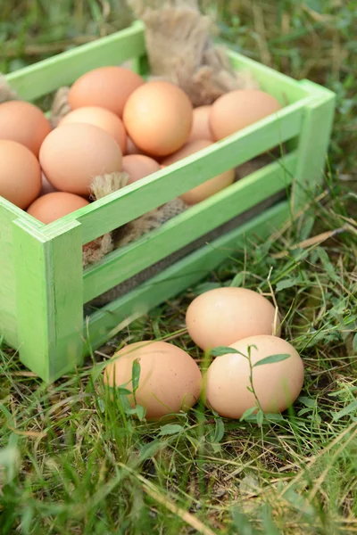 Huevos en caja de madera — Foto de Stock