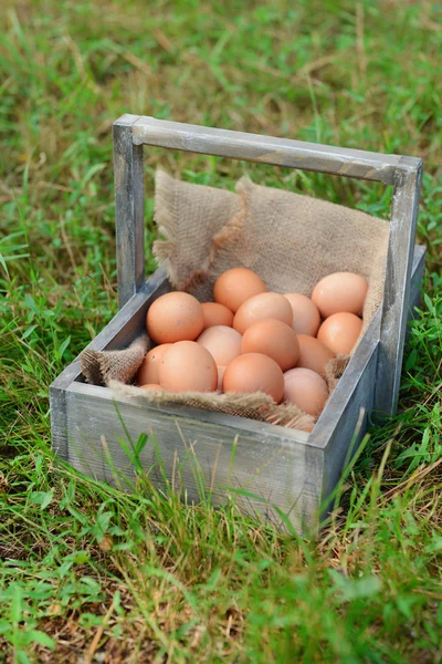 나무 상자에 계란 — 스톡 사진