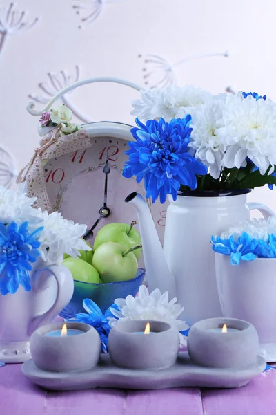 Wit en blauw chrysant — Stockfoto