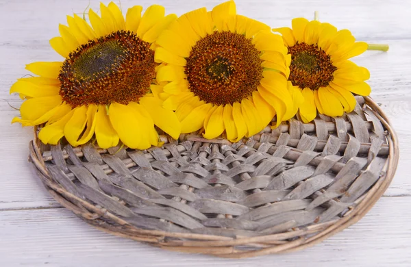 Beautiful sunflowers on wicker stand on table close up — Stock Photo, Image