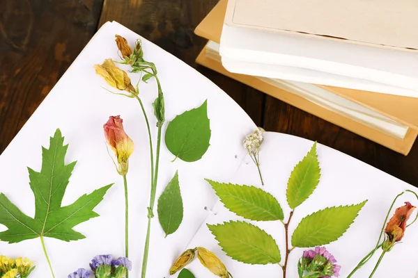 Dry up plants on book on table close up — Stock Photo, Image