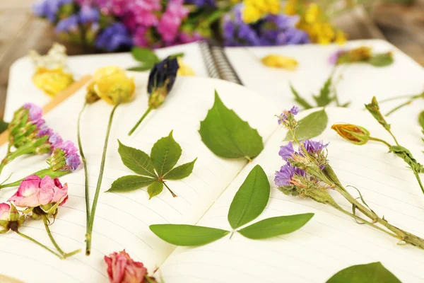 Kompozycja z kwiatów i suche się rośliny na notebooki na stole z bliska — Zdjęcie stockowe