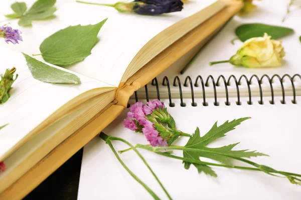 Seque fábricas no caderno na mesa de perto — Fotografia de Stock