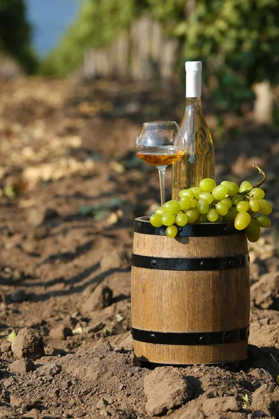 Barril de madeira, uva e garrafa de vinho no fundo da plantação de uva — Fotografia de Stock