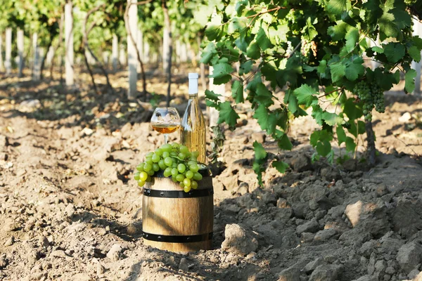 Cálice e garrafa de vinho — Fotografia de Stock