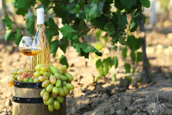 Calice e bottiglia di vino — Foto Stock