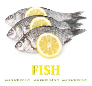 taze balıklar beyaz izole limon