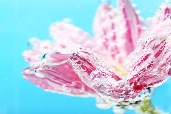 Flower in sparkling water — Stock Photo, Image