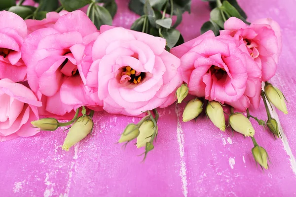 Hermosas flores de eustoma sobre fondo de madera — Foto de Stock