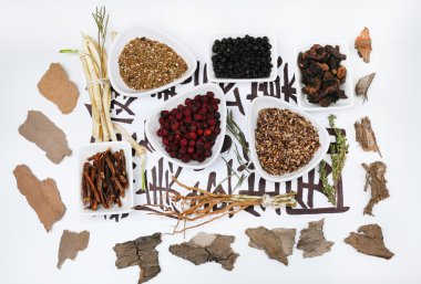 geleneksel Çin Bitkisel Tıp malzemelerin üzerine gerçek olmayan hiyeroglifler, yakın çekim