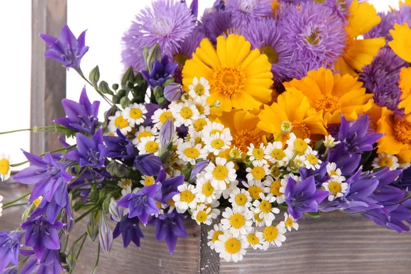 Beautiful flowers in crate close up — Stock Photo, Image