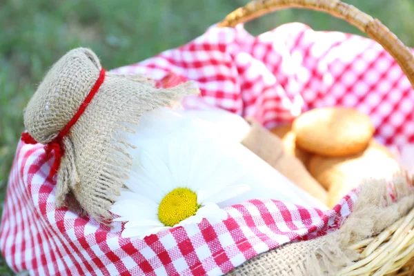 Tasty snack in basket on grassy background for spending nice weekend in a park — Stock Photo, Image