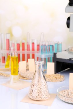 Mikrobiyolojik gıda kalite için test