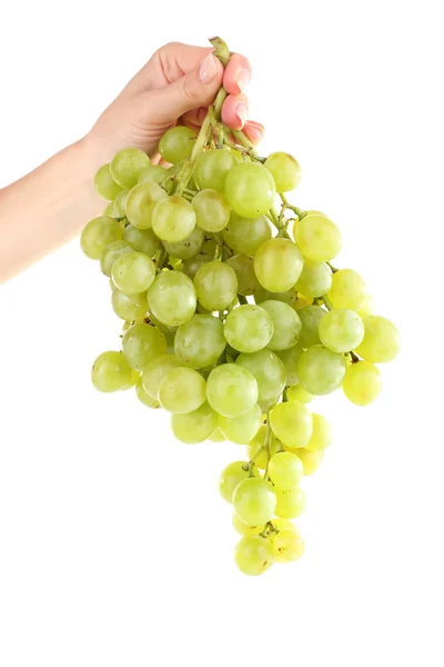 Green grape in hand — Stock Photo, Image
