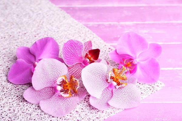 ピンクの熱帯蘭の花 — ストック写真