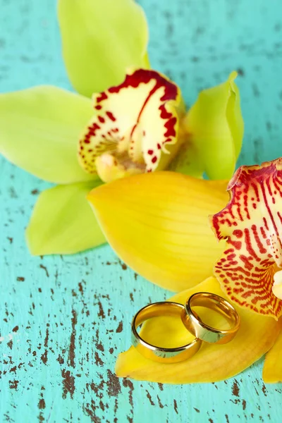 Anelli nuziali e fiori di orchidea, primo piano, su sfondo di legno a colori — Foto Stock