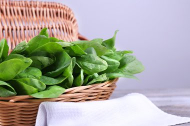 Hasır sepet içinde taze kuzukulağı