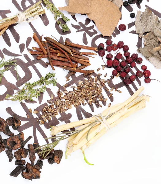 Traditional chinese herbal medicine ingredients — Stock Photo, Image