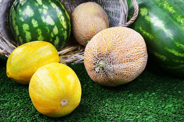 Meloner och vattenmeloner i wicker oval korg på grön bakgrund — Stockfoto