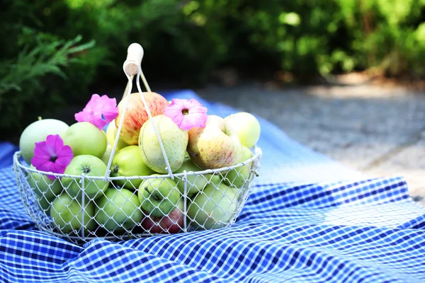 Ripe apples in basket outdoors — Stock Photo, Image