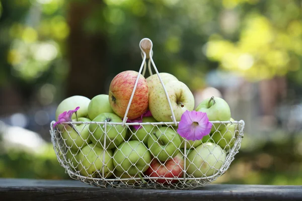 バスケット屋外で熟したリンゴ — ストック写真