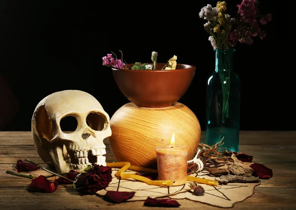 Human skull with dried rose — Stock Photo, Image