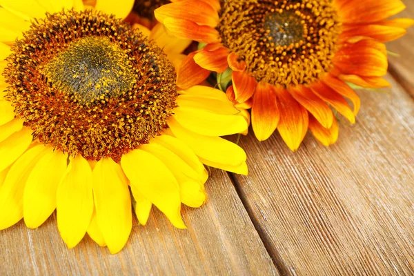 Beautiful sunflowers on wood — Stock Photo, Image