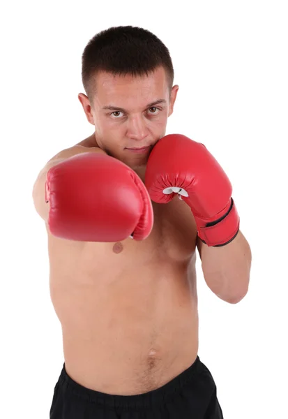 Guapo joven deportista muscular con guantes de boxeo aislados en blanco —  Fotos de Stock