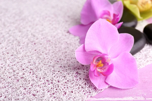 Flores de orquídeas tropicais rosa — Fotografia de Stock