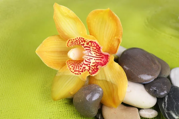 Orchid flower and stones in water — Stock Photo, Image