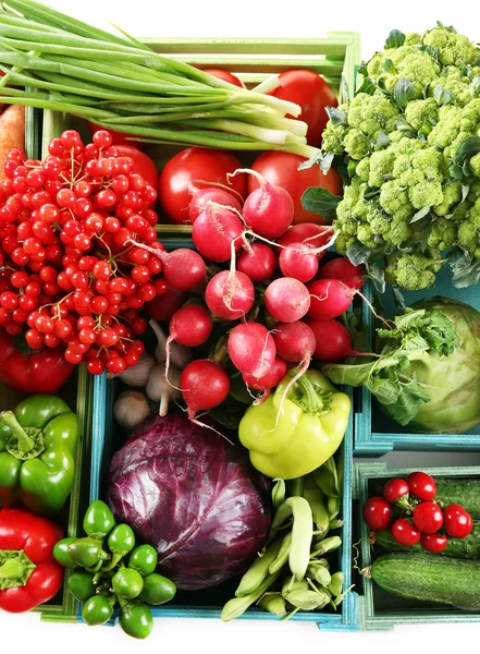 Produtos hortícolas biológicos frescos — Fotografia de Stock