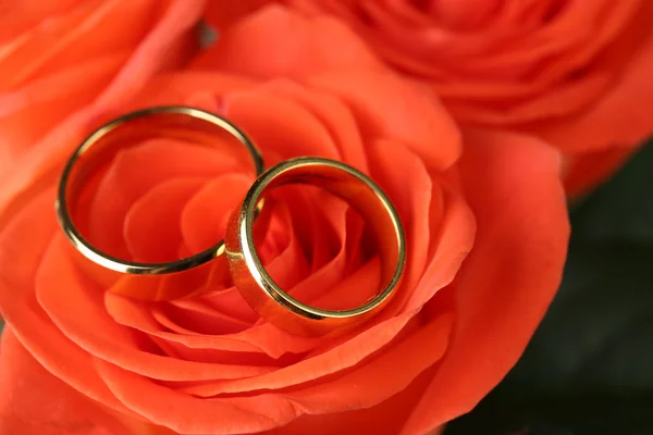 Anillos de boda en ramo de boda — Foto de Stock