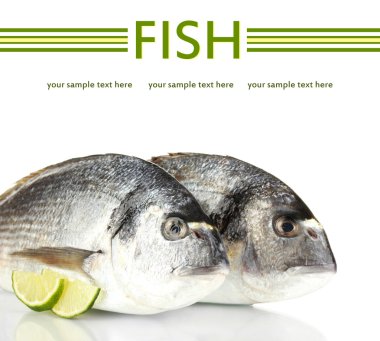 Dorado balığı üzerinde beyaz izole limon