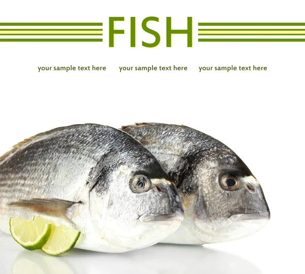 Dorado balığı üzerinde beyaz izole limon