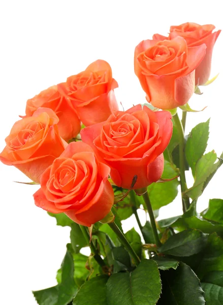 Bouquet of beautiful roses isolated on white — Stock Photo, Image