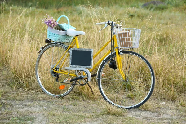 Fahrrad auf der Wiese bei Sonnenuntergang — Stockfoto