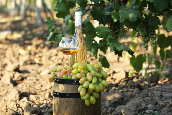 Goblet and bottle of wine with grape on wooden barrel on grape plantation background — Stock Photo, Image