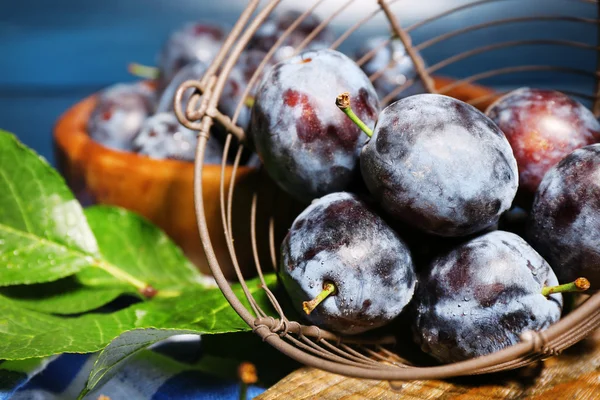 Maturare le prugne dolci — Foto Stock