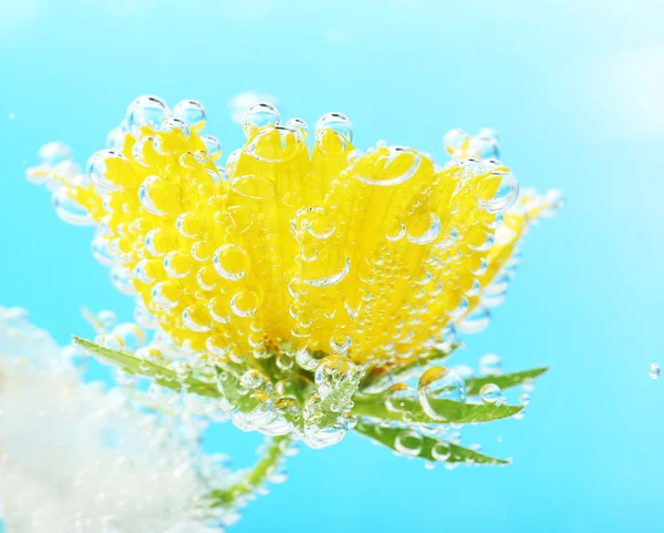 Bela flor em água espumante — Fotografia de Stock