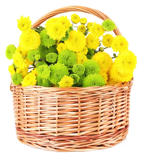 Krizantém virágcsokor — Stock Fotó