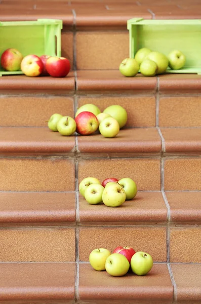 Lédús alma, a lépcsőn szétszórt — Stock Fotó