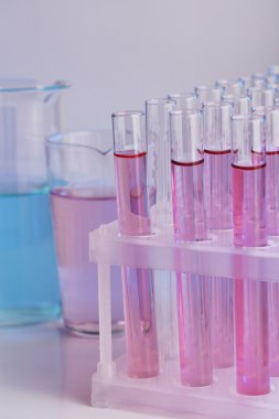 gri zemin üzerine sıvı ile test tüpleri