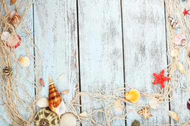 Ahşap arka planda deniz kabukları