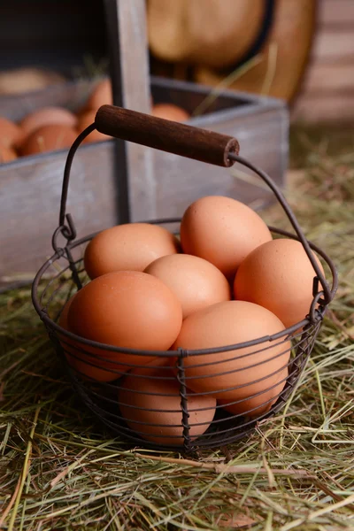 Eggs — Stock Photo, Image