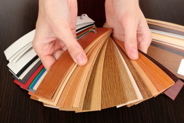 mobilya için renk paleti