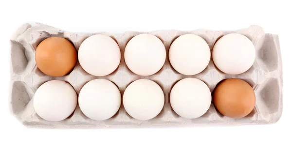 Different eggs in carton pack — Stock Photo, Image