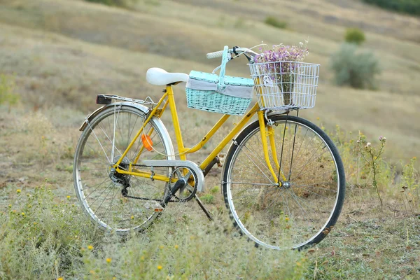 Bicicleta no prado durante o pôr do sol — Fotografia de Stock