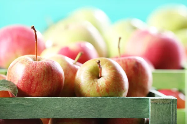 Manzanas jugosas —  Fotos de Stock